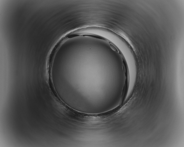 X0000088481124200705291622