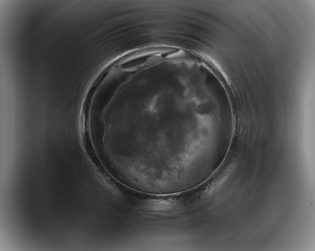 X0000088481125200705291622