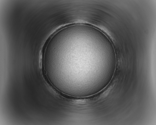X0000088481126200705291622