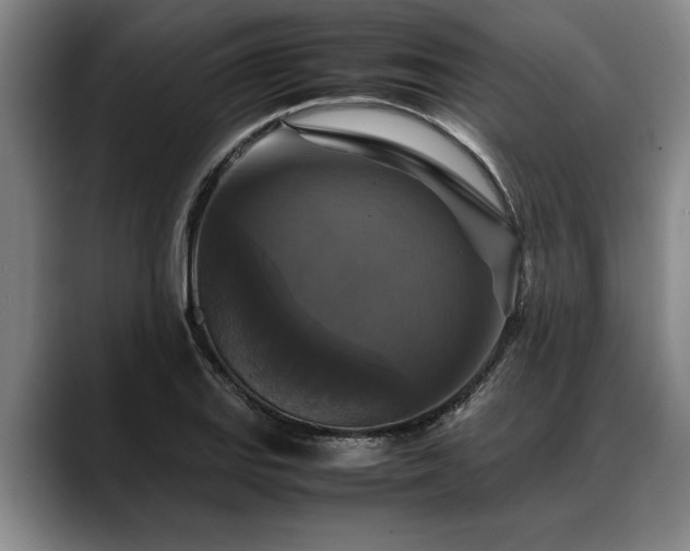 X0000088481127200705291622