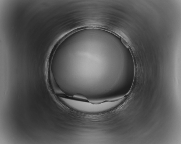X0000088481128200705291622
