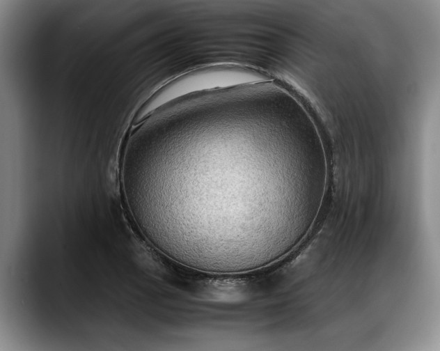 X0000088481129200705291622