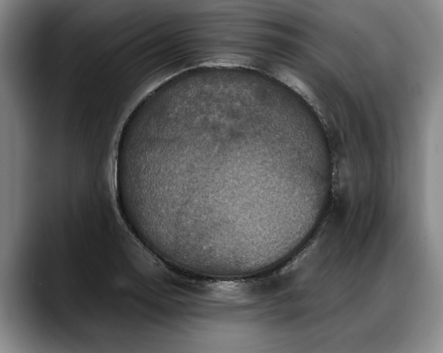 X0000088481130200705291622