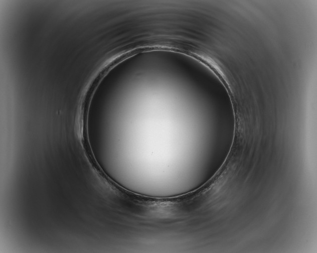 X0000088481131200705291622