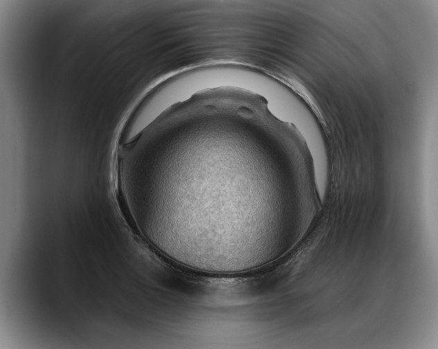 X0000088481132200705291622