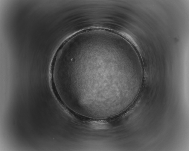 X0000088481133200705291622