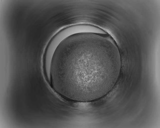 X0000088481134200705291622