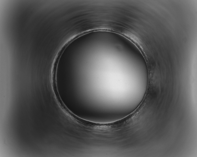 X0000088481135200705291622