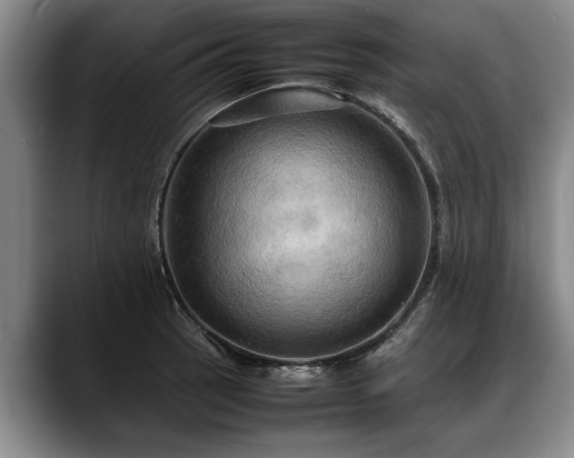 X0000088481137200705291622