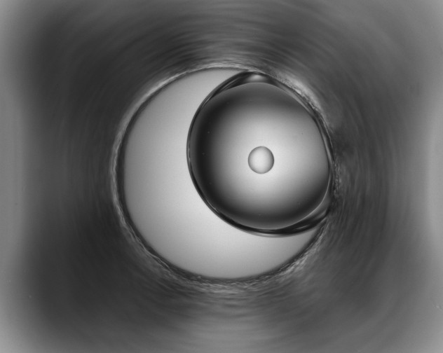 X0000088481138200705291622