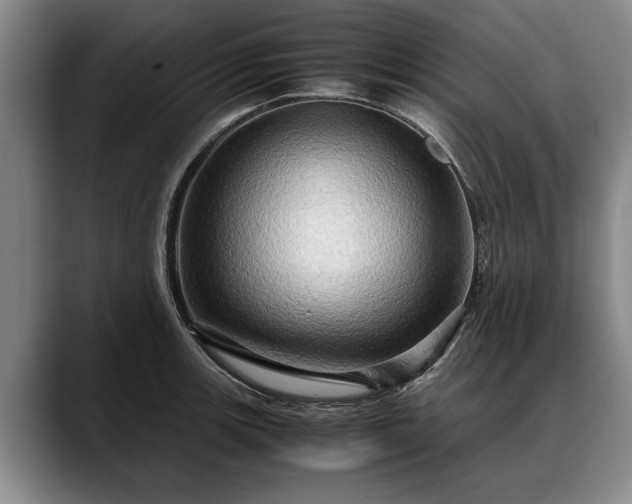 X0000088481139200705291622