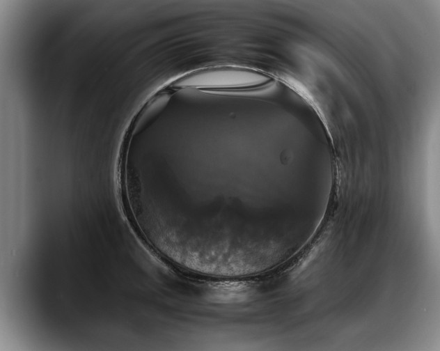 X0000088481141200705291622