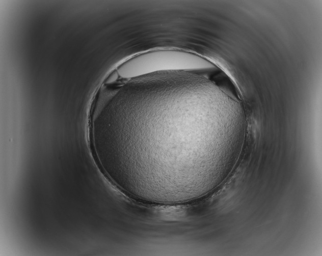 X0000088481143200705291622