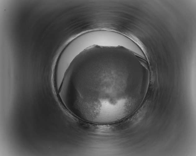X0000088481144200705291622