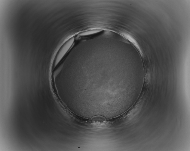 X0000088481146200705291622