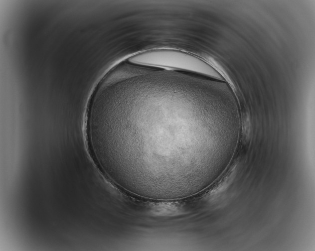 X0000088481149200705291622