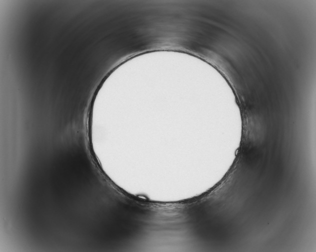 X0000088481150200705291622