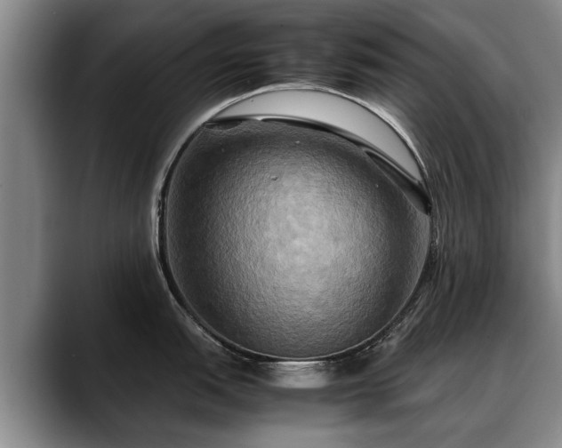 X0000088481151200705291622