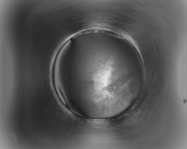 X0000088481152200705291622