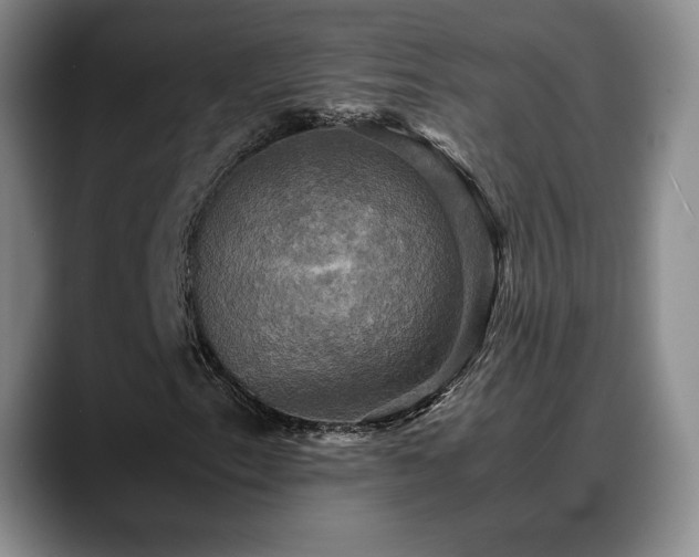 X0000088481153200705291622