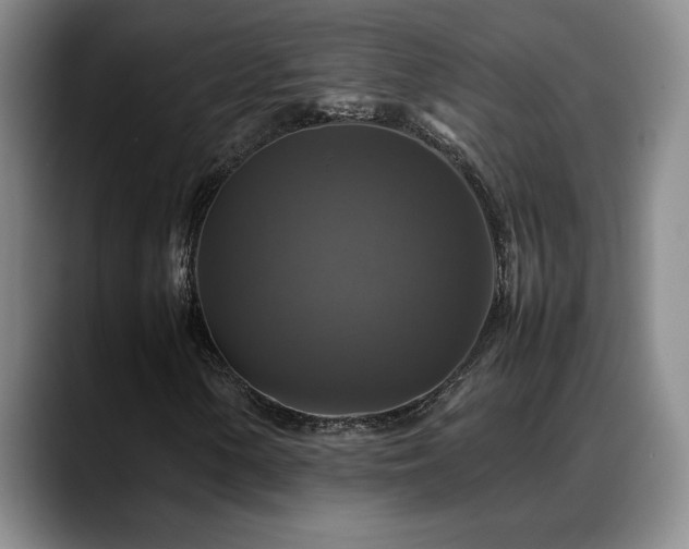 X0000088481154200705291622