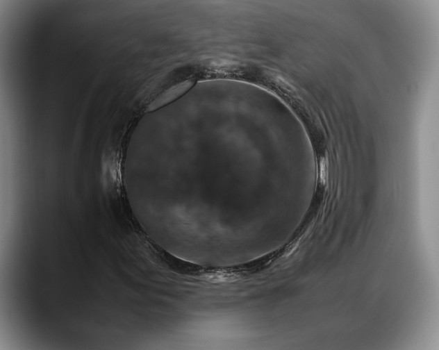 X0000088481155200705291622