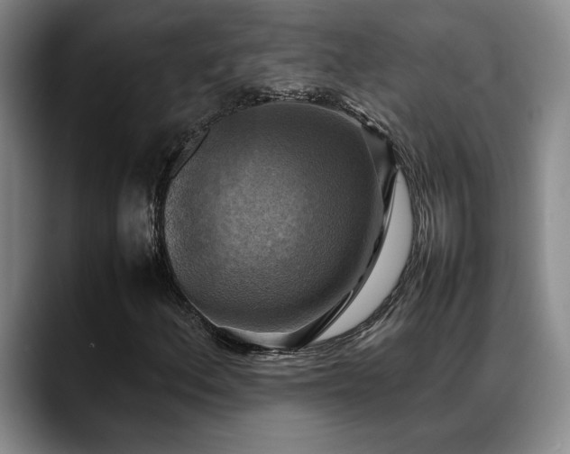 X0000088481156200705291622