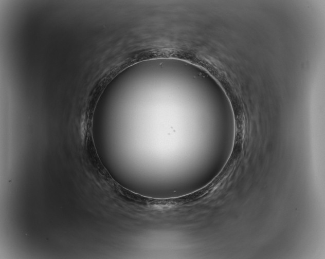 X0000088481157200705291622