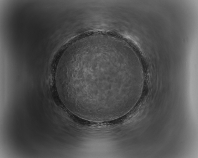 X0000088481159200705291621