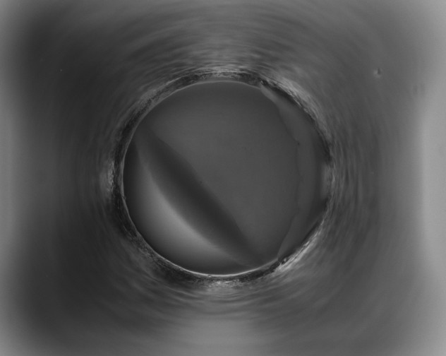 X0000088481161200705291621