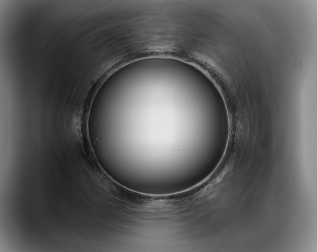 X0000088481162200705291621