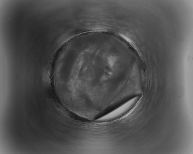 X0000088481163200705291621
