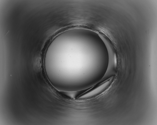 X0000088481164200705291621