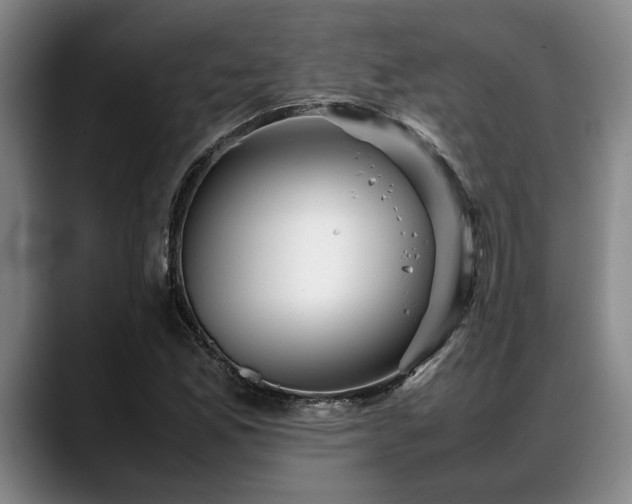 X0000088481165200705291621