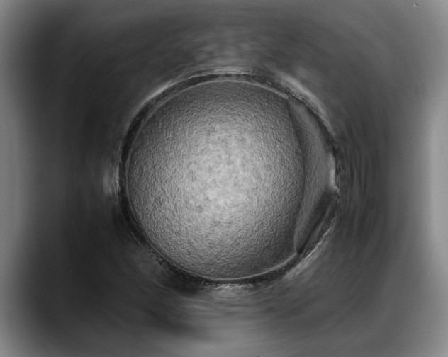 X0000088481166200705291621