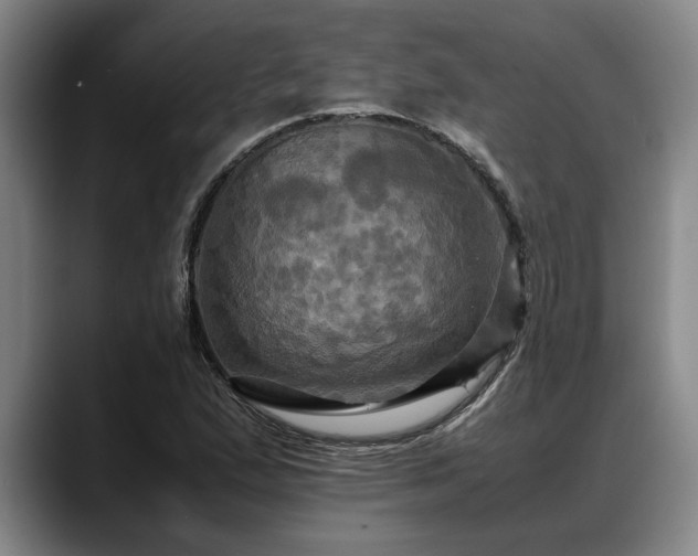 X0000088481167200705291621
