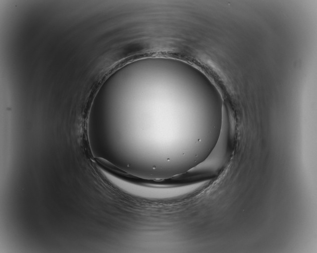X0000088481169200705291621