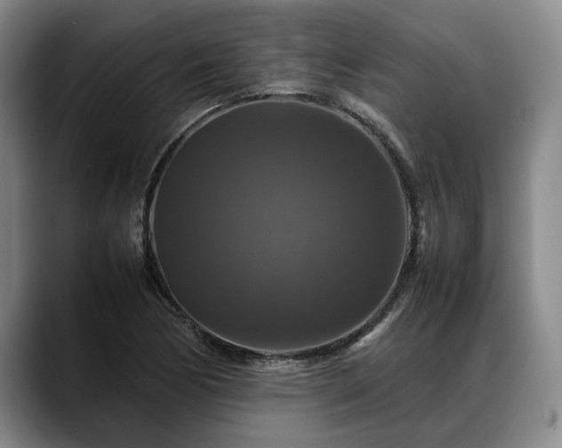 X0000088481170200705291621