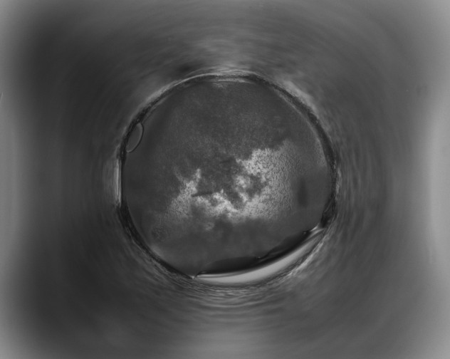 X0000088481171200705291621