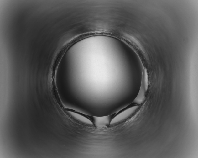 X0000088481172200705291621