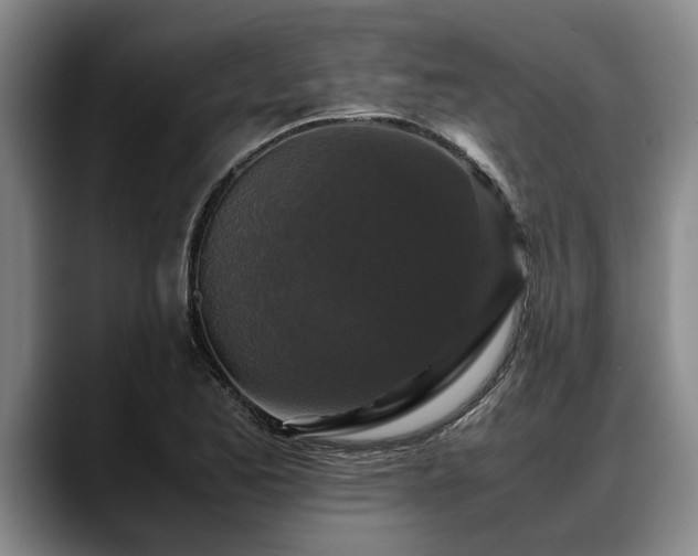 X0000088481173200705291621