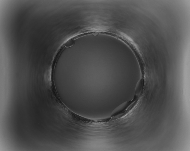 X0000088481174200705291621