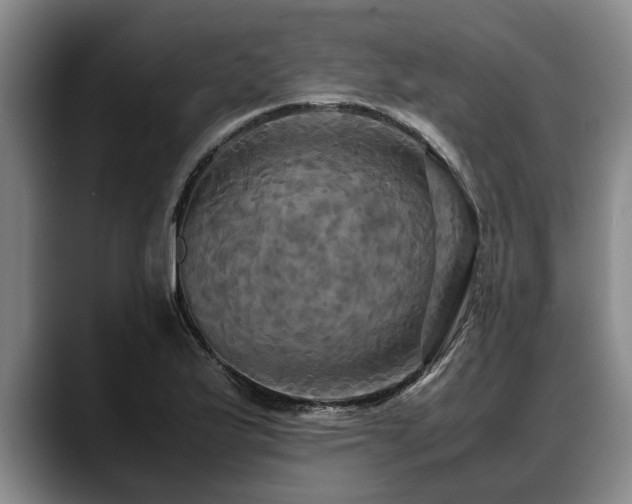 X0000088481175200705291621