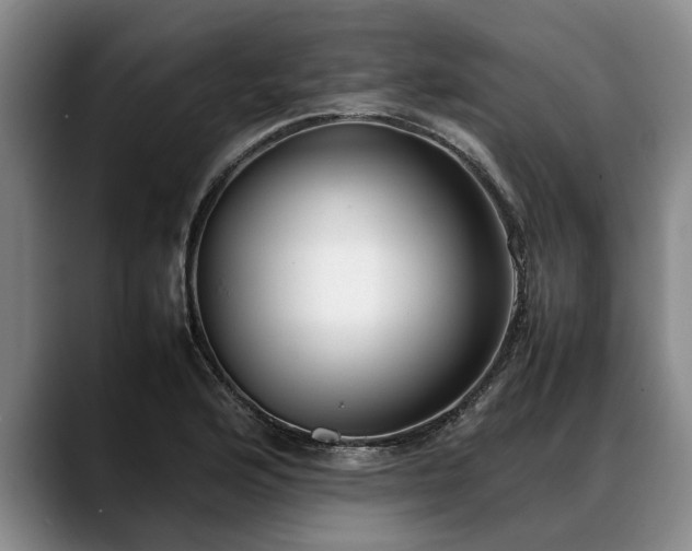 X0000088481176200705291621