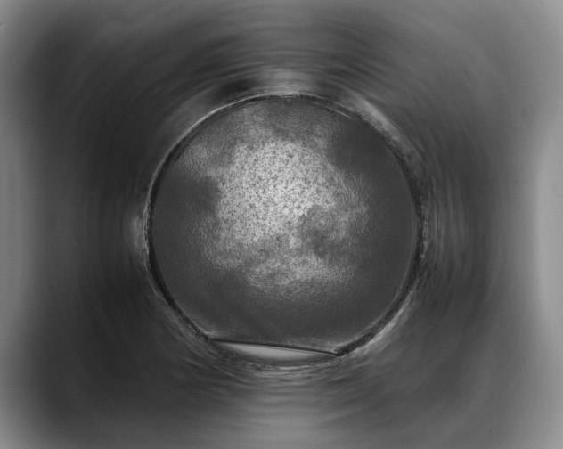 X0000088481178200705291621
