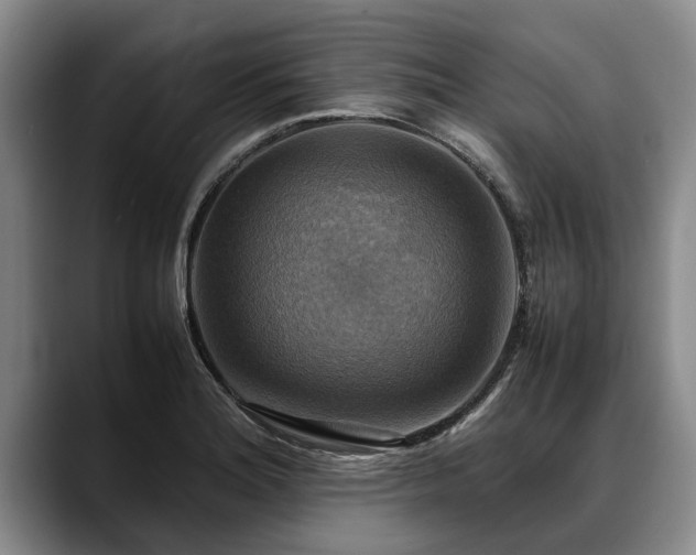 X0000088481180200705291621