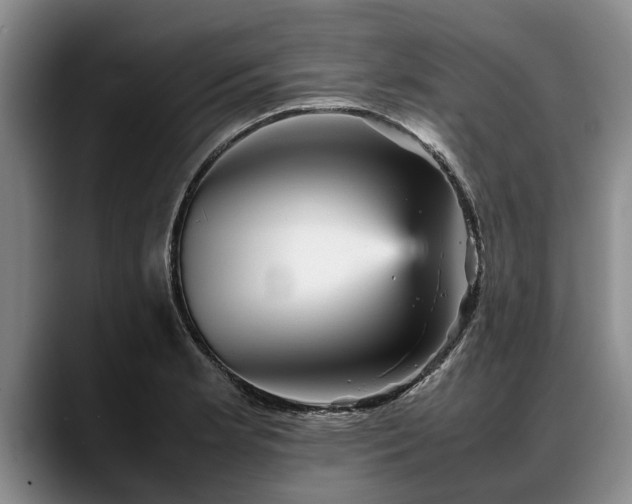 X0000088481181200705291621