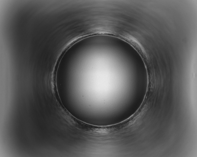 X0000088481182200705291621