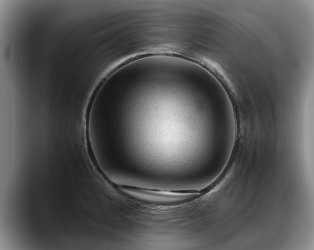 X0000088481184200705291621