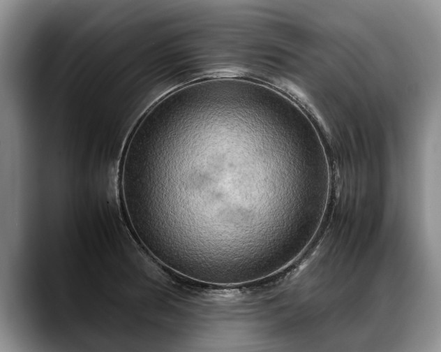 X0000088481186200705291621